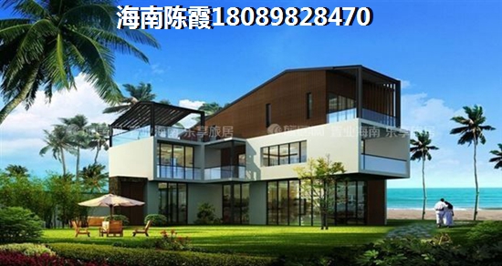 椰林陽光詳情